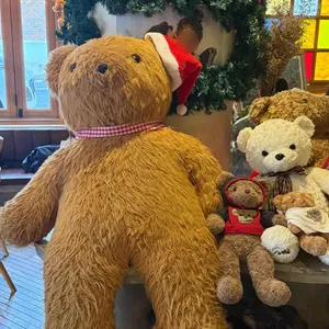 테디뵈르하우스 사진