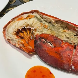 바이킹스워프 사진