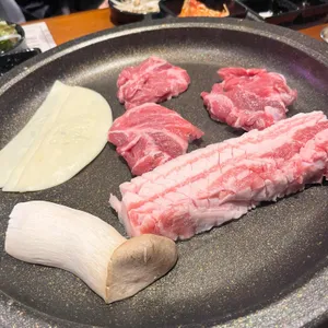 돼지띠 대표 사진