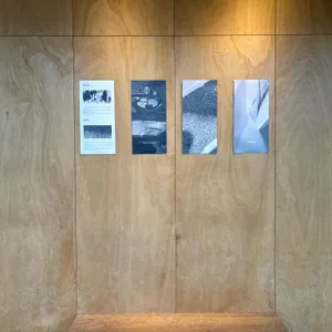 단일서울 리뷰 사진