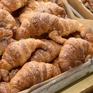 테디뵈르하우스 리뷰 사진