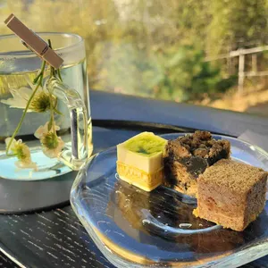 미지의 대표 사진