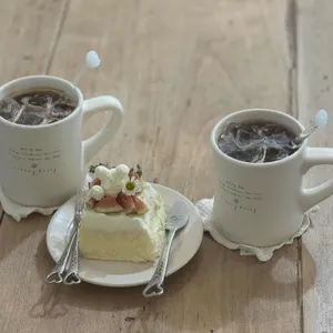 크리미데이지 사진