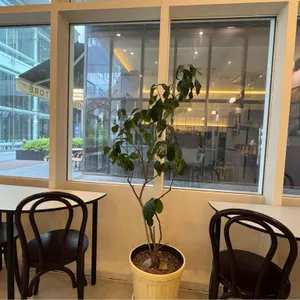 힐먼트 리뷰 사진