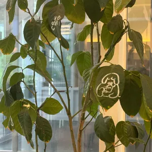 힐먼트 리뷰 사진