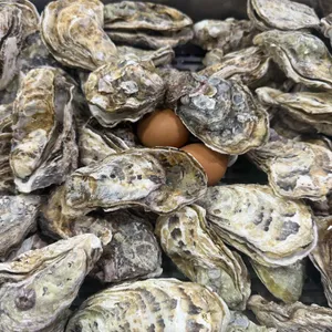 굴사냥 대표 사진