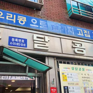 유달콩물 사진 1