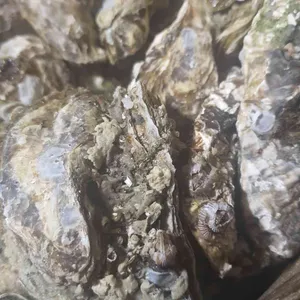 호남수산 대표 사진