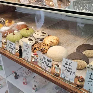 카멜리온 리뷰 사진