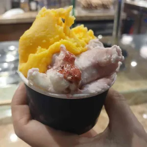 젤라띠젤라띠 사진 2