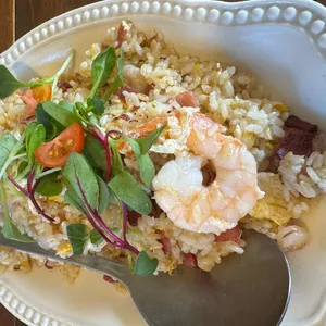 고센피제리아 대표 사진