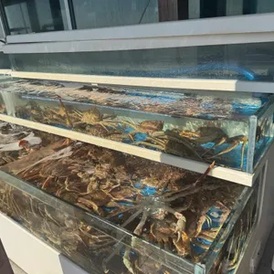 청풍수산 리뷰 사진