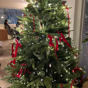 누크녹 리뷰 사진