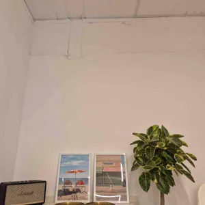 마시안300 리뷰 사진