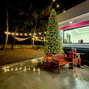 마시안300 리뷰 사진