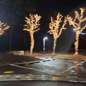 비클래시 리뷰 사진