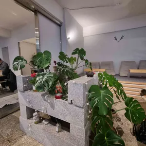 티틸 리뷰 사진