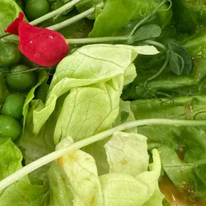 라라테이블 리뷰 사진