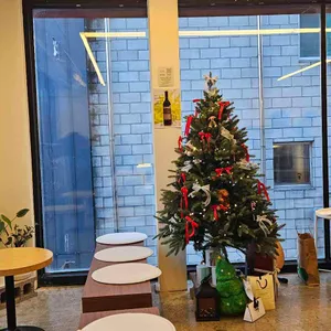 노체 대표 사진