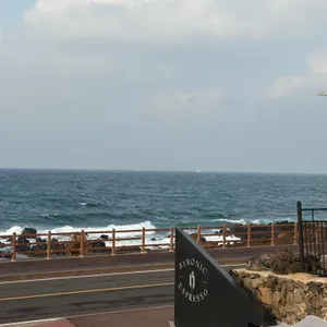 바이러닉 에스프레소 바 리뷰 사진