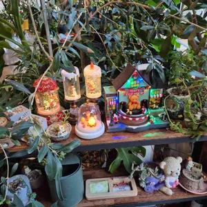 카페라밸리 리뷰 사진