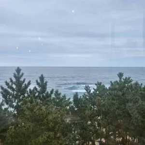 바다정원 대표 사진