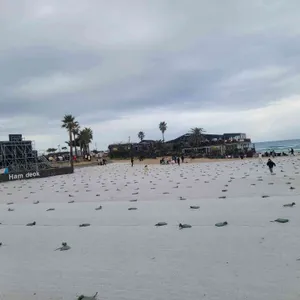 갈치옥 함덕 리뷰 사진