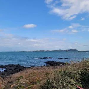 성산봄죽칼국수 리뷰 사진