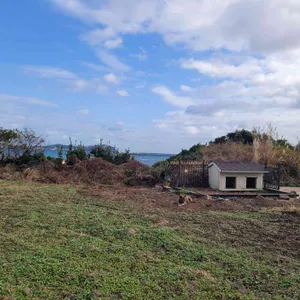 성산봄죽칼국수 리뷰 사진