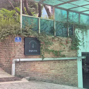 본알레 리뷰 사진