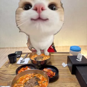 벌집칼국수 사진