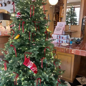 마이 페이보릿 쿠키테리아 리뷰 사진