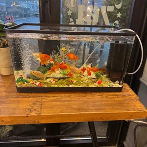 카페찰스701 리뷰 사진