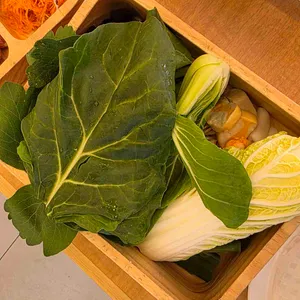 샤브올데이 사진