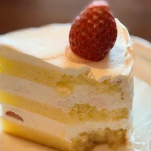 파툼커피바 사진