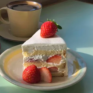 어도먼트 대표 사진