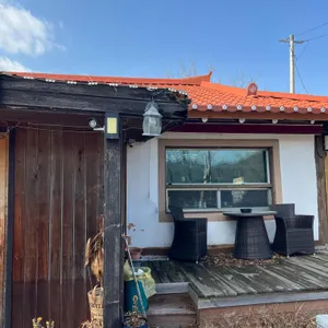 능수버들 대표 사진