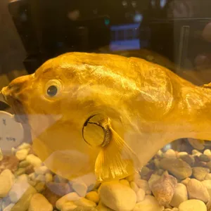 복터진집 리뷰 사진