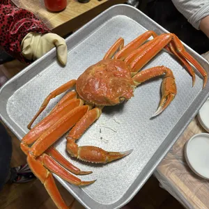 돌고래횟집 대표 사진