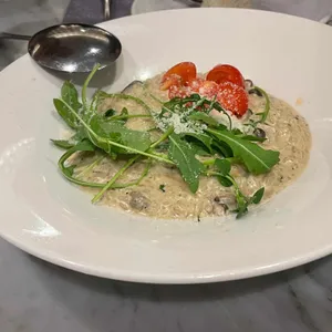 올리브 에비뉴 사진