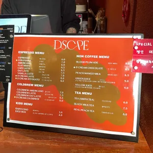 디스케이프 리뷰 사진