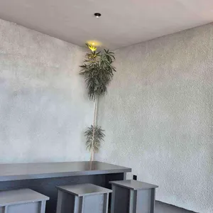 카페공정 리뷰 사진