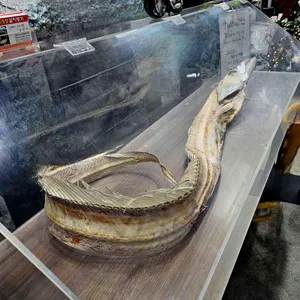 남진이네자연산갈치명가 리뷰 사진