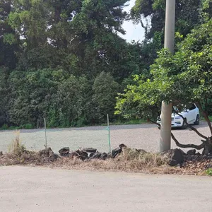 번네식당 리뷰 사진