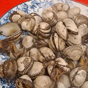 야생마포장마차 리뷰 사진