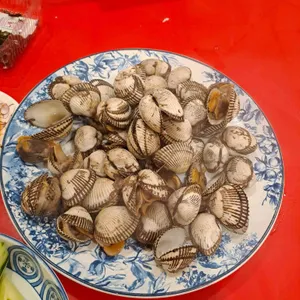 야생마포장마차 사진