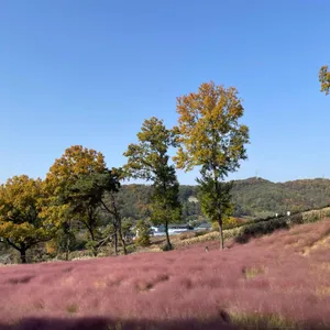 핀스커피 리뷰 사진