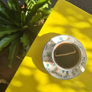 지베르니 대표 사진