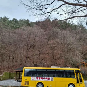 양항약수식당 리뷰 사진