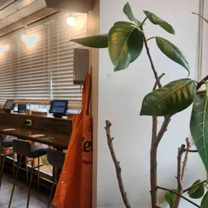 온뚝 리뷰 사진